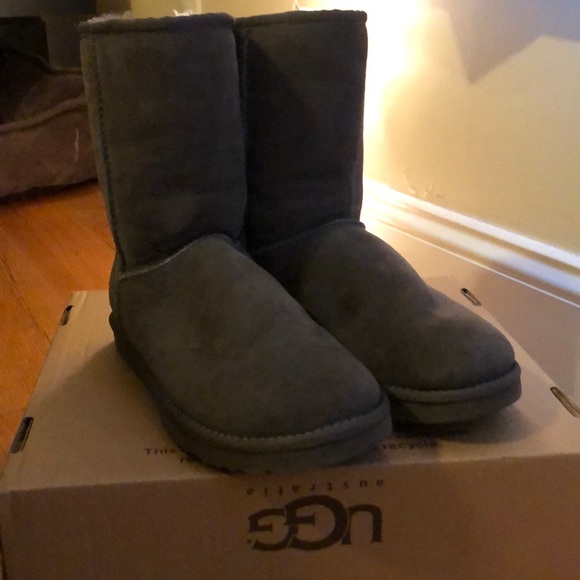 Grey Short Classic Ugg boots size 7 - Picture 1 of 3